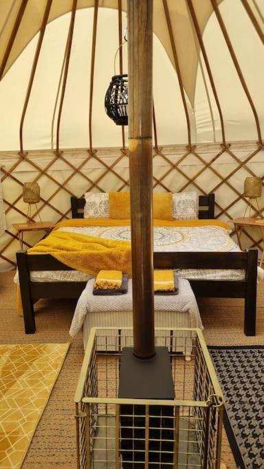 Bronfelen Yurt Cynghordy