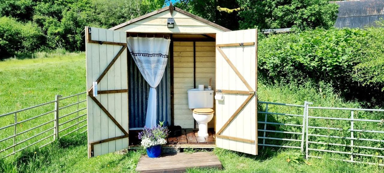 Bronfelen Yurt *